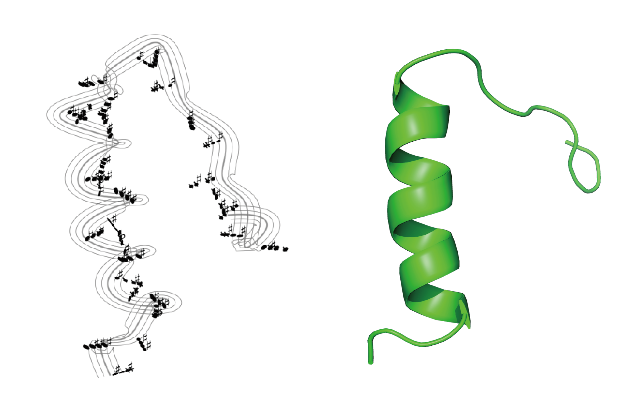 ProteinMusic